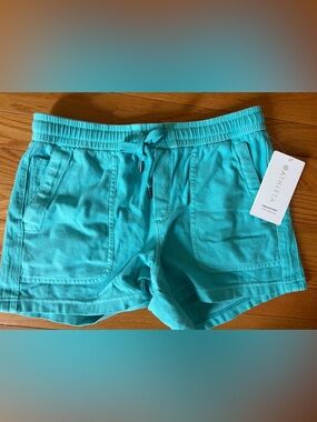NWT Athleta Turquoise women's Small Faralon shorts $69